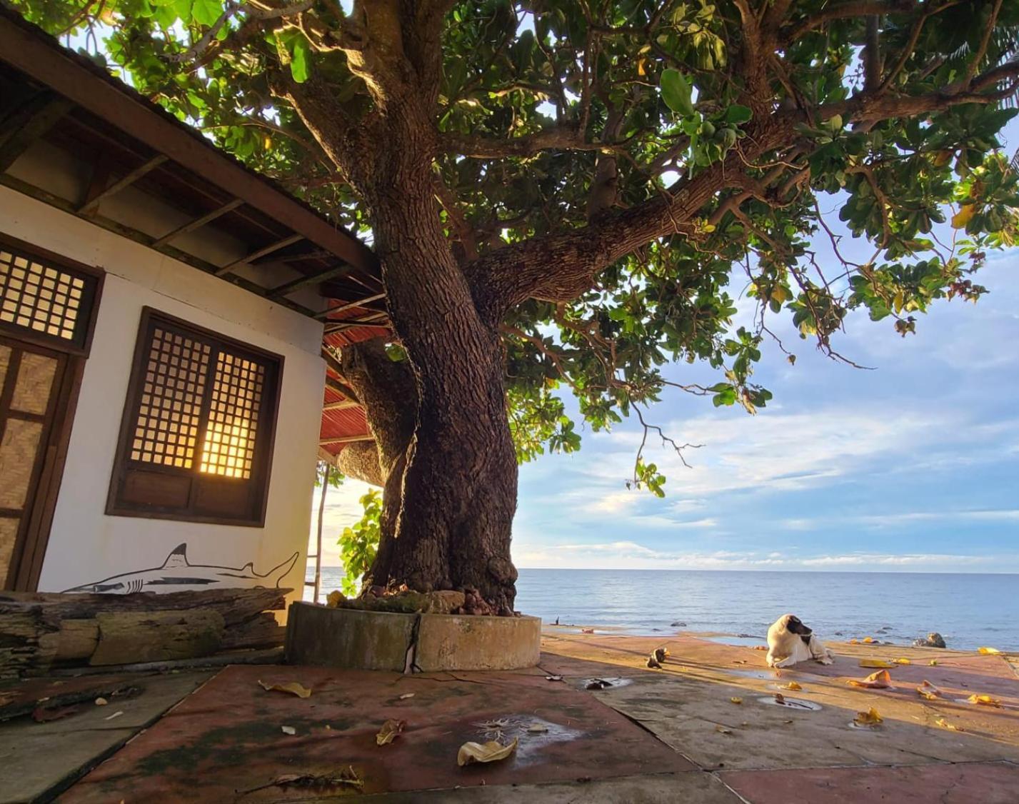 Paseo Del Mar Bohol Seaside Resort Jagna Exterior foto