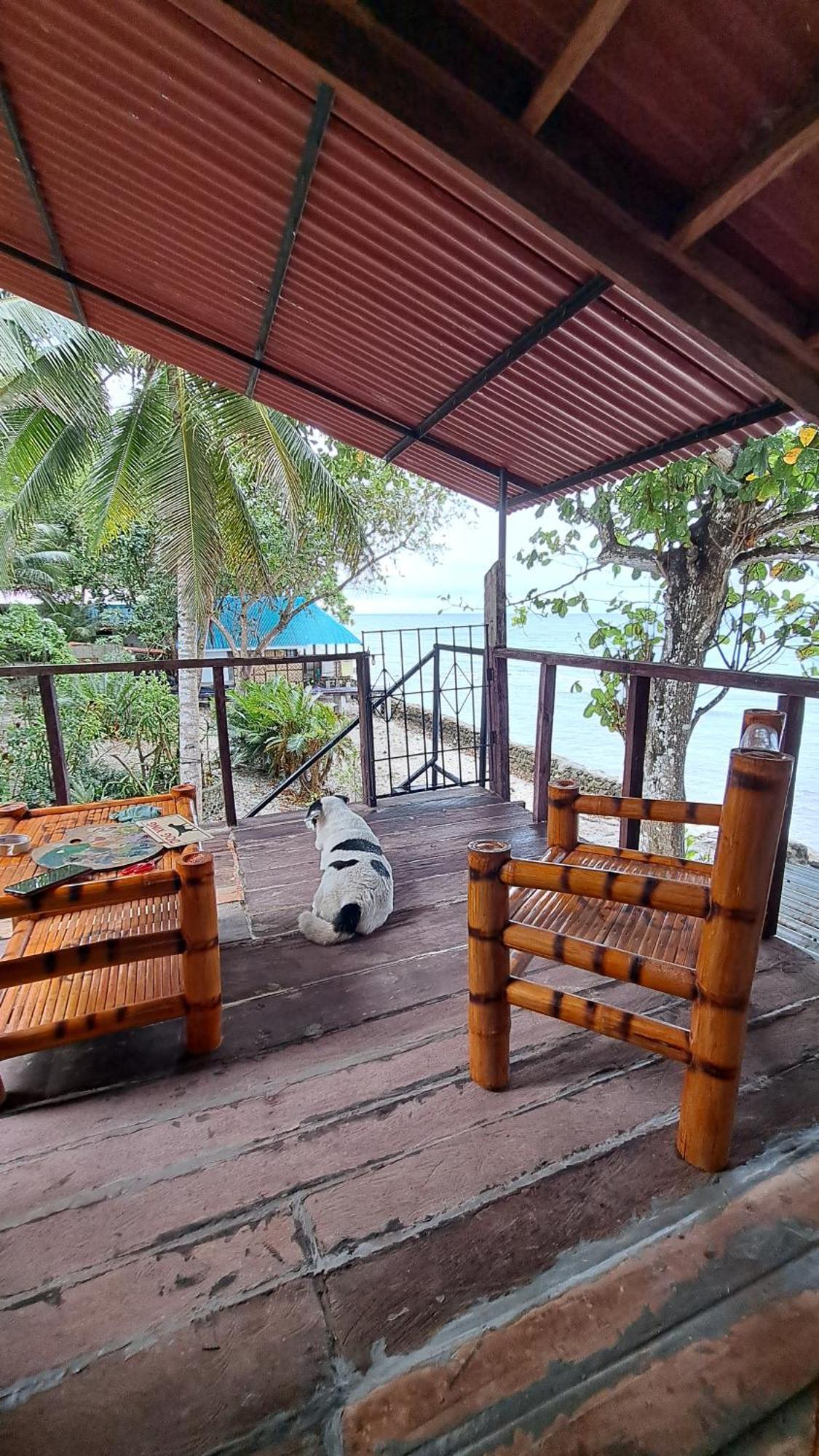 Paseo Del Mar Bohol Seaside Resort Jagna Exterior foto